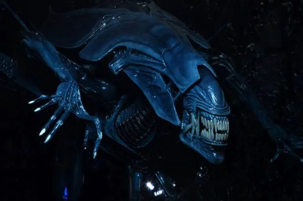 Aliens Xenomorph Queen Dlx Box Neca 3