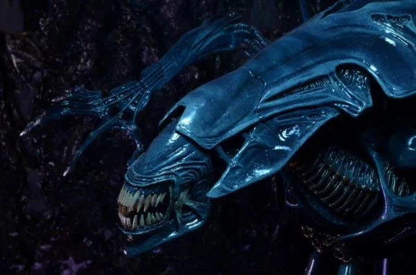 Aliens Xenomorph Queen Dlx Box Neca 5
