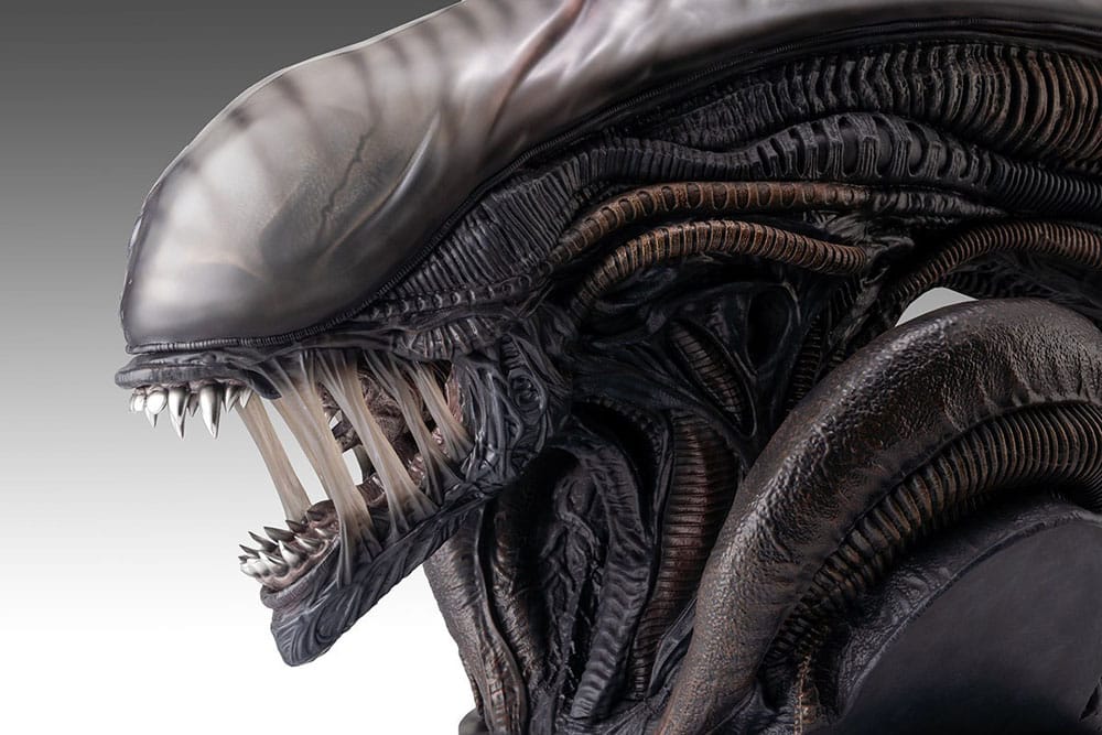 Alien Romulus Busto 1/1 Xenomorph 53 cm Hollywood Collectibles Group 1