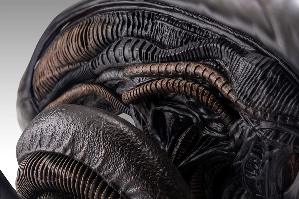 Alien Romulus Busto 1/1 Xenomorph 53 cm Hollywood Collectibles Group 3