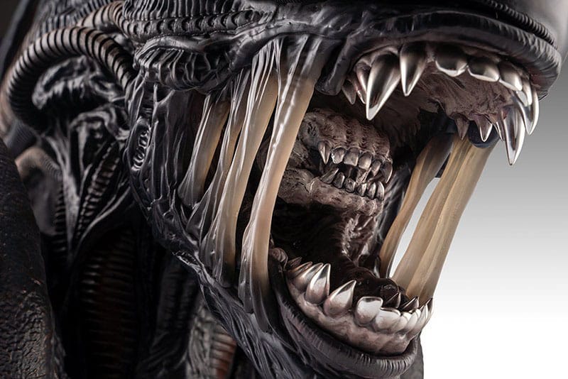 Alien Romulus Busto 1/1 Xenomorph 53 cm Hollywood Collectibles Group 4