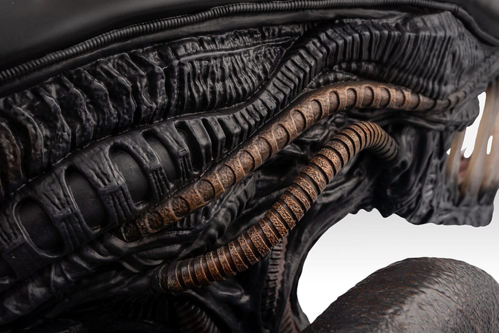 Alien Romulus Busto 1/1 Xenomorph 53 cm Hollywood Collectibles Group 5