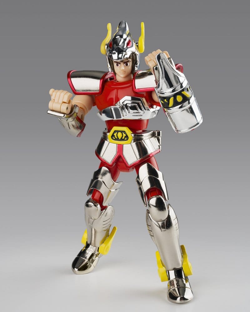 Pegasus Cloth (First Bronze Cloth) Cloth Box Limited Edition Saint Seiya Saint Cloth Series 1