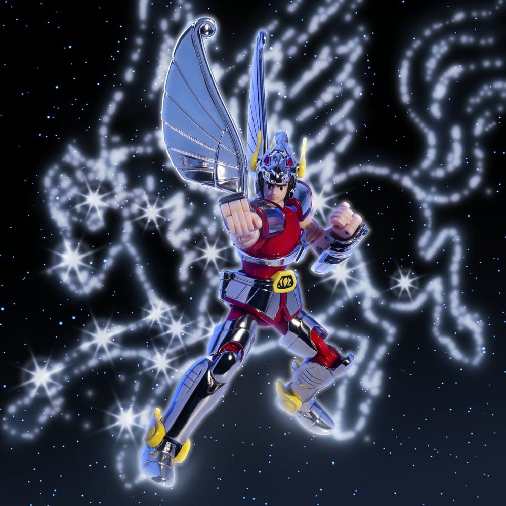 Pegasus Cloth (First Bronze Cloth) Cloth Box Limited Edition Saint Seiya Saint Cloth Series 6