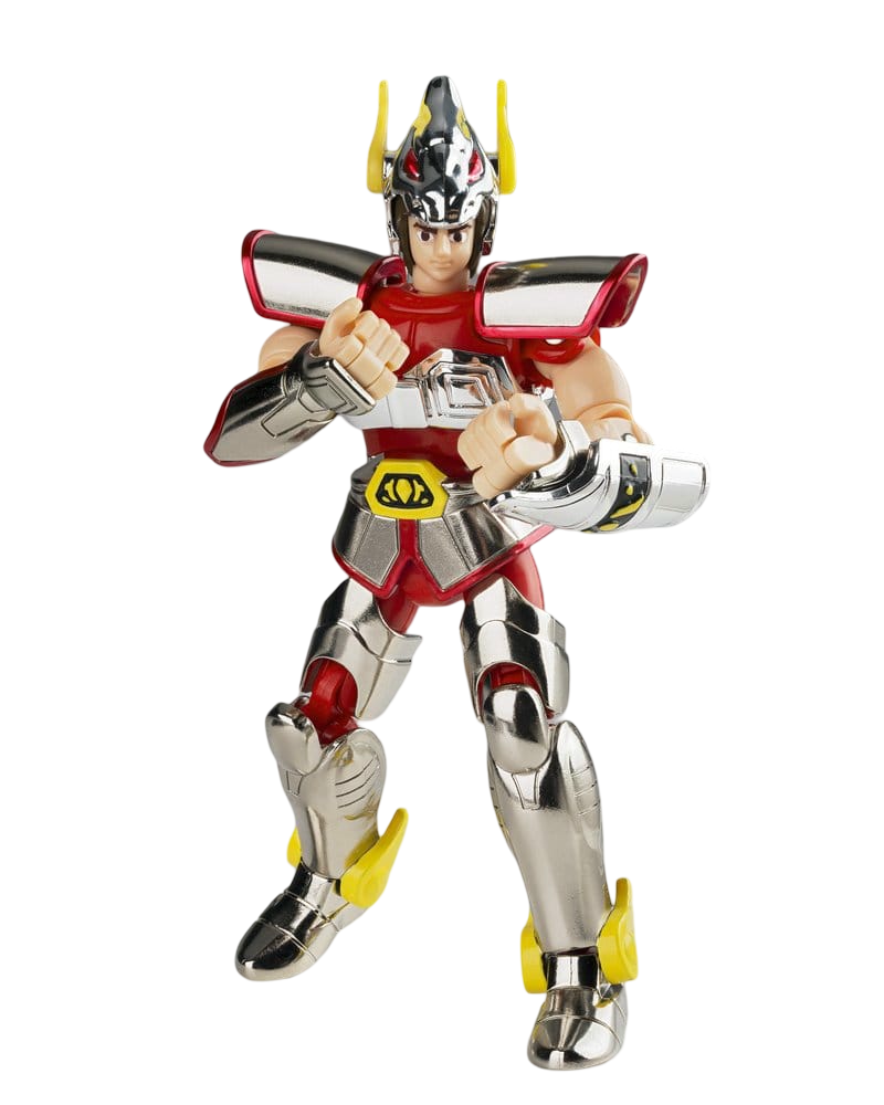 Pegasus Cloth (First Bronze Cloth) Cloth Box Limited Edition Saint Seiya Saint Cloth Series