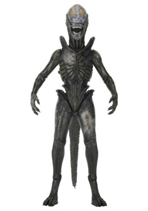 Wendys Xenomorph Alien Earth Ultimate Neca