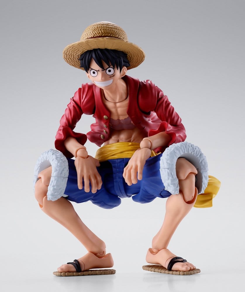 Monkey D. Luffy -Two Years Later- SH Figuarts One Piece Tamashii Nations 5